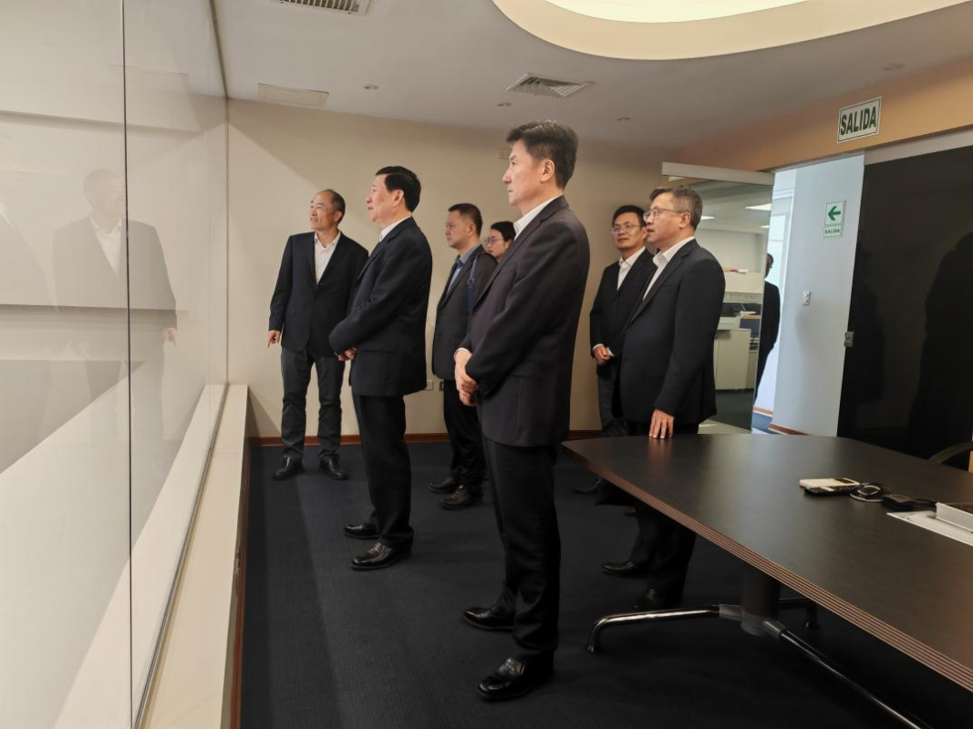 应急管理部部长王祥喜一行赴长江电力路德斯公司调研指导